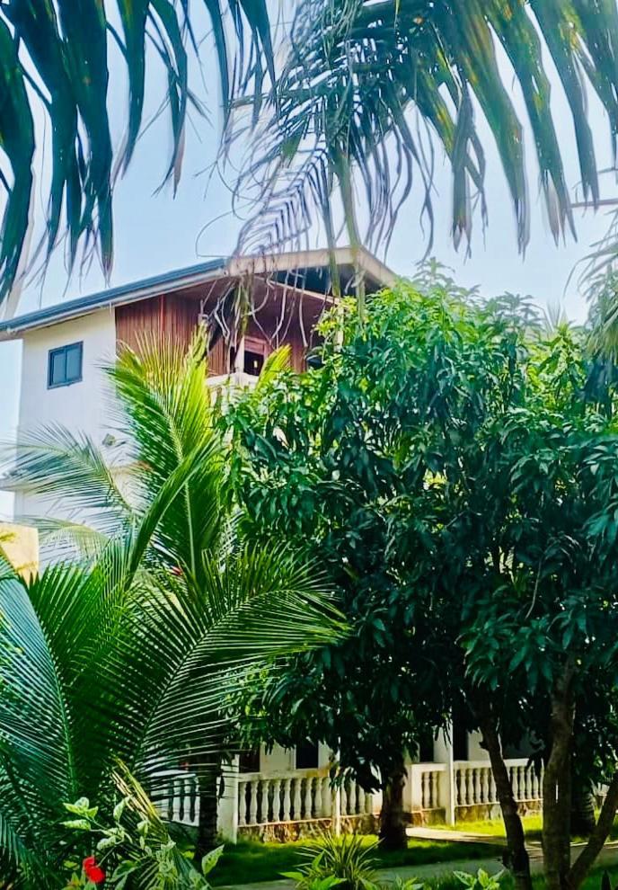 Serenity Haven Lodge Busua Экстерьер фото